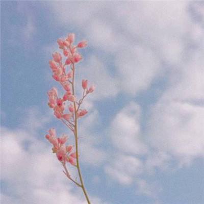 可下分电玩手机app下载