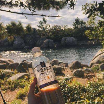 可下分电玩手机app下载