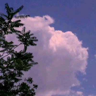 b体育官方官网入口