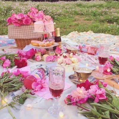 香港最准资料免费公开app下载