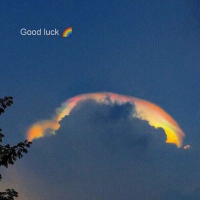 亚博BOB体育下载